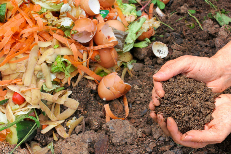 compost déchet alimentaire